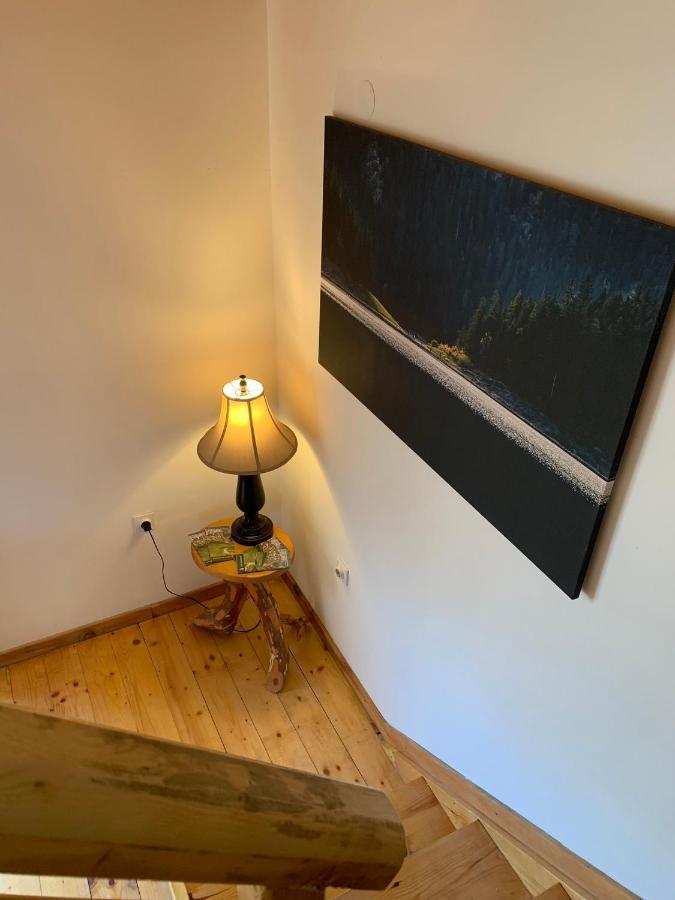 Mountain Vista Chalet Žabljak Kültér fotó