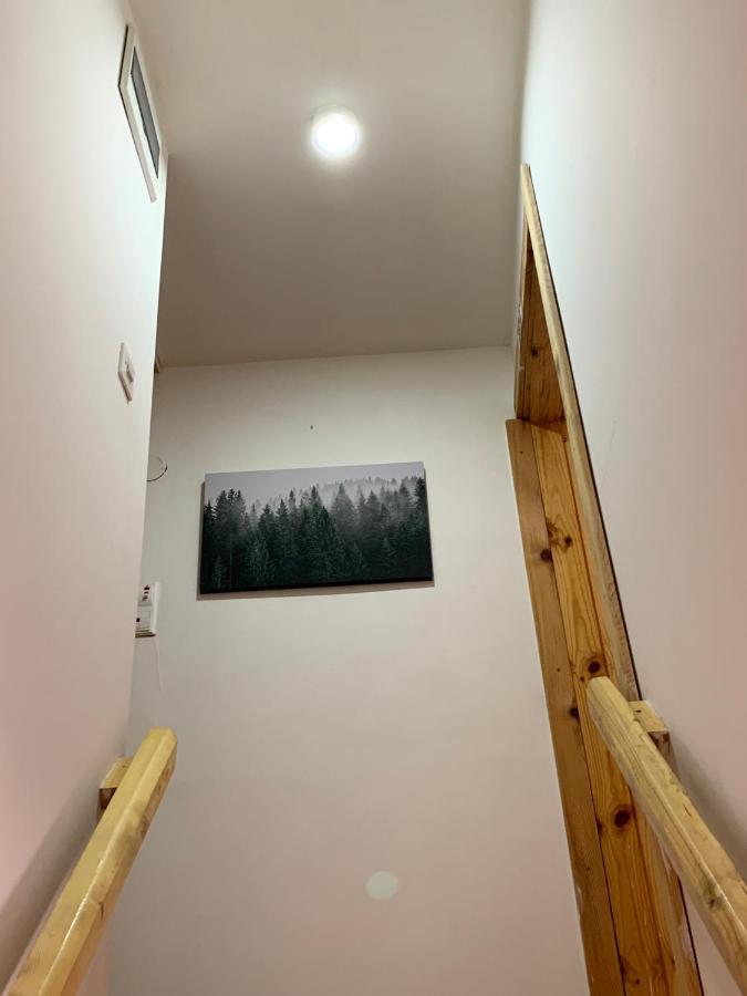 Mountain Vista Chalet Žabljak Kültér fotó